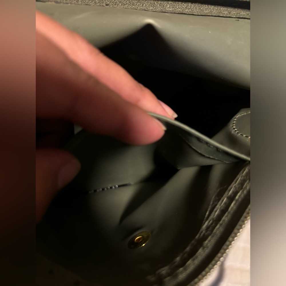 Long champ bag green color